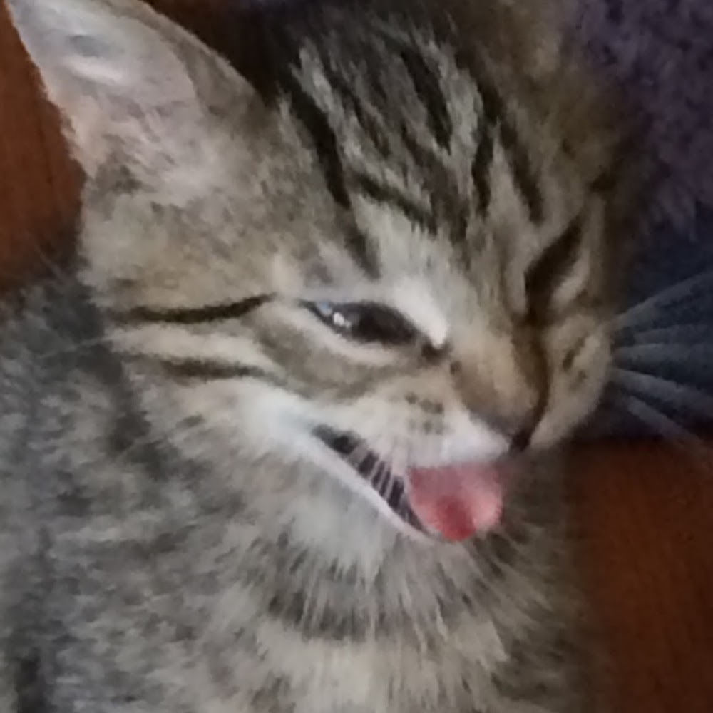 Meet your Posher, Lori